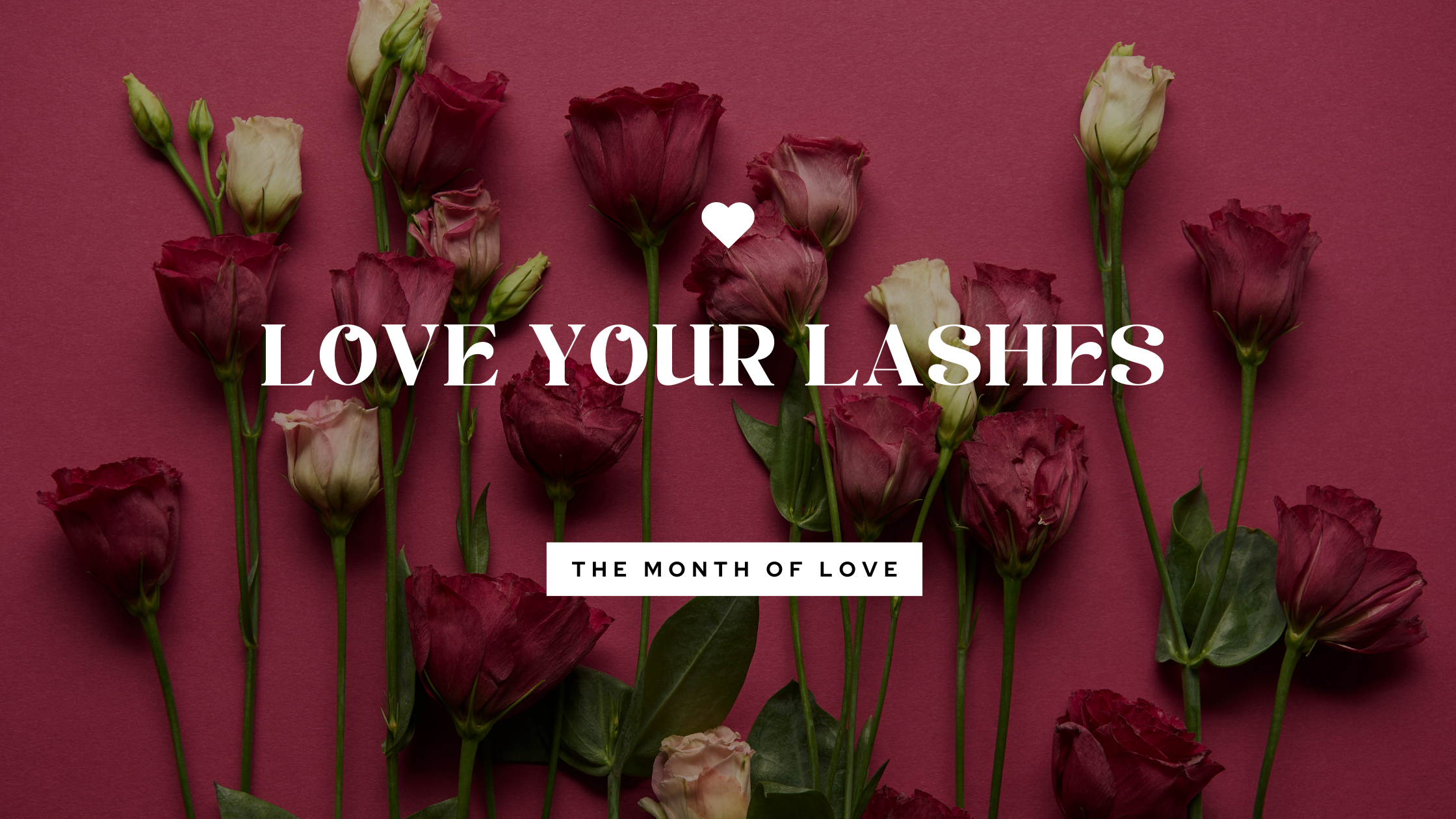 Love your Lashes (2560 x 977 px) (2240 x 1260 px)