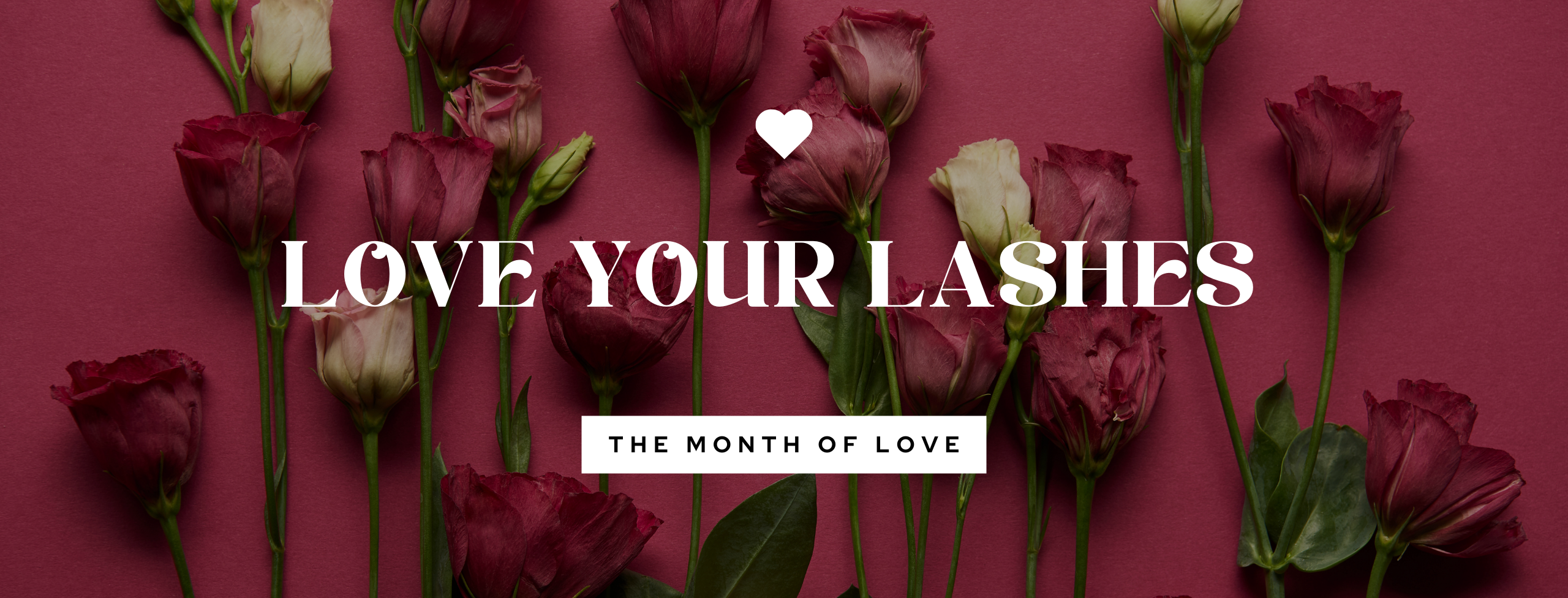 Love your Lashes (2560 x 977 px)